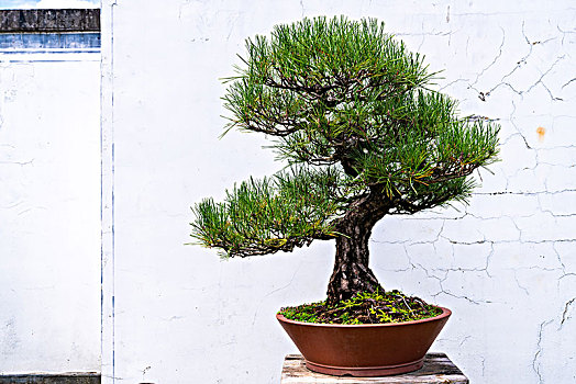 chốt số miền bắc hôm nay