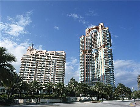cầu bạch thủ