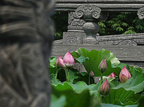 lô khung 247